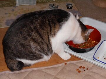 10月12日（5-7）仮