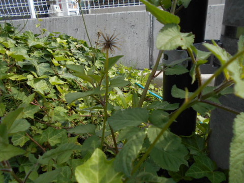 DSCN2004