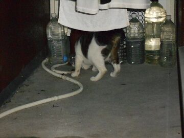 9月4日（127）仮