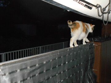 9月3日（18-8）仮