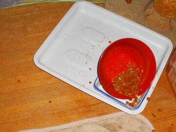 2月16日（34）仮