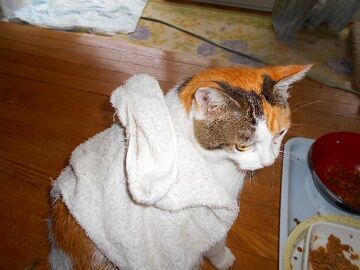 10月25日（13）仮