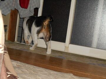 9月21日（20-5）仮