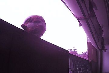 12月30日（5.9）仮