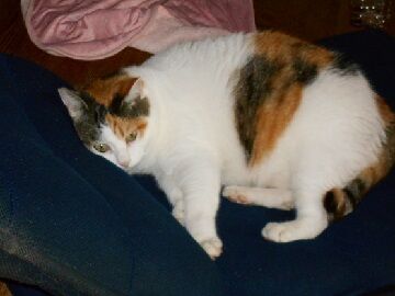 9月16日（22）仮