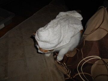 9月24日（5-8）仮