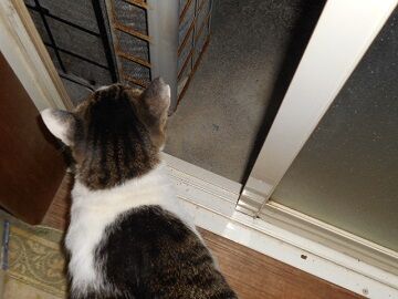 9月23日（3-11）仮