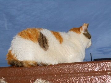 5月28日（67）仮