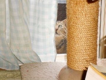 6月12日（24）仮