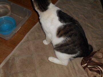 9月23日（3-4）仮