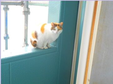 3月21日　9-36-1使用