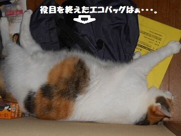 9月18日（8-6）仮