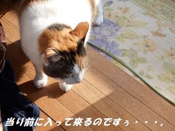 10月2日（7-5）仮