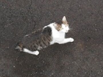 9月8日（5-1）仮 - コピー