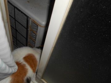 9月24日（23-17）仮