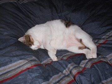 10月15日(22-3)