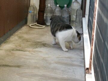 9月30日（7-7）仮