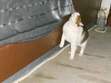 12月31日（19）仮