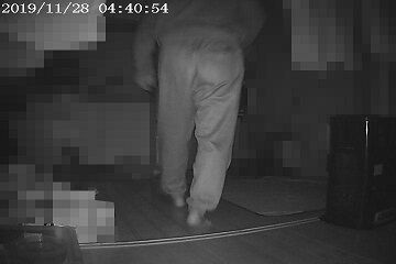 11月28日（31）仮