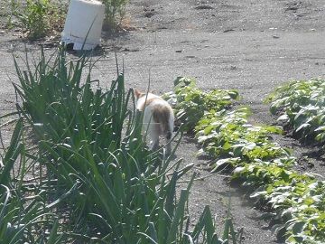 4月16日(20)仮