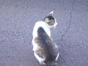 6月16日（29）仮