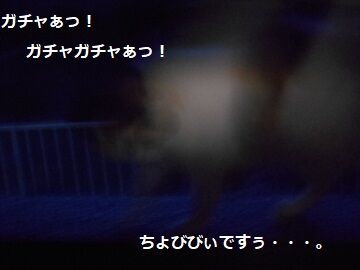 9月24日（5-4）仮