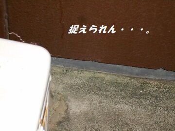 9月30日（23-8）仮