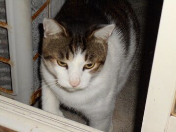 9月21日（19-5）仮