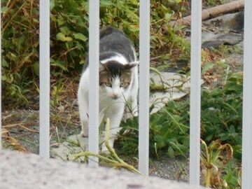 8月24日（41）仮