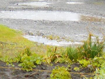 5月20日（47）仮