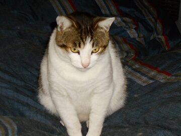 3月30日（21）仮