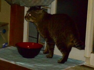 5月13日（54）仮