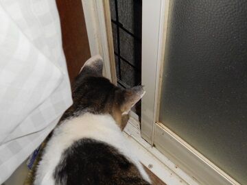 9月26日（20-2）仮