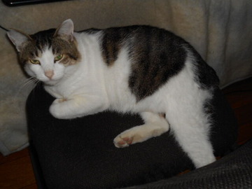 10月1日（8-3）仮