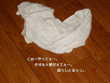 9月30日（51）仮