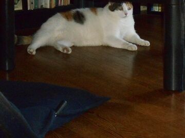 9月30日（57）仮