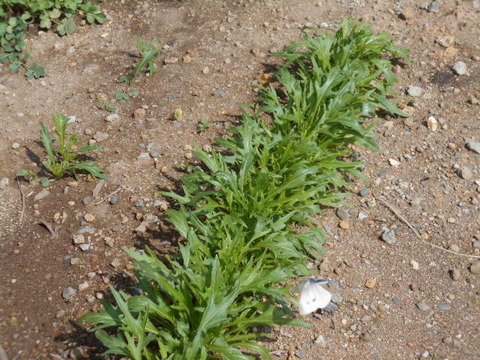 DSCN0820