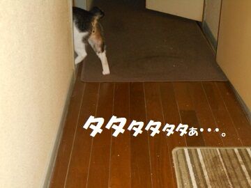 7月26日（57）仮