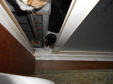 9月29日（5-2）仮