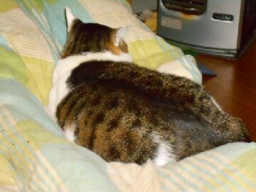 11月30日（2）仮