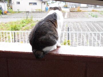 10月14日（2）仮