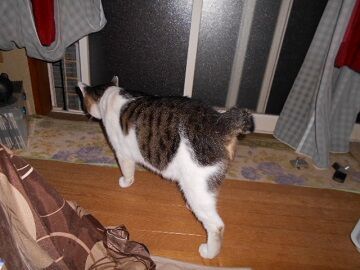 10月7日（22-10）仮