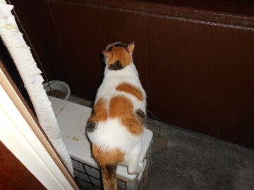 9月23日（5-4）仮