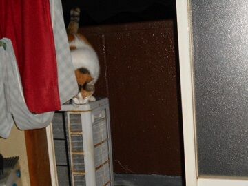 9月27日（5-7）仮