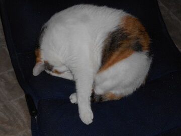 9月30日（22-2）仮