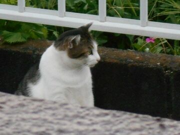 8月24日（47）仮