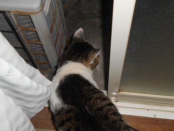 8月22日（29）仮