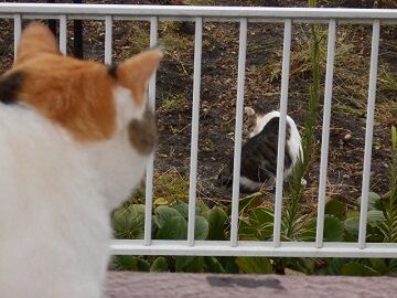 9月27日（7-7）仮