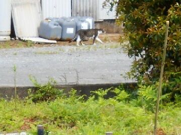 5月22日（62）仮