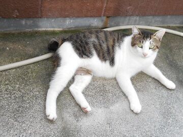 8月31日（23）仮